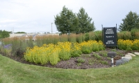 Commercial Landscape Macomb County