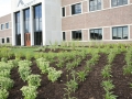 Macomb County Commercial Landscaping