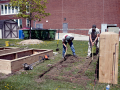 Macomb County Landscaping - LIttle Green Gardeners
