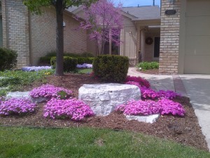 Warren landscaper