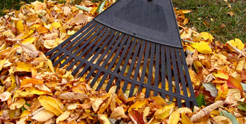 Fall Landscape Maintenance Rochester Hills