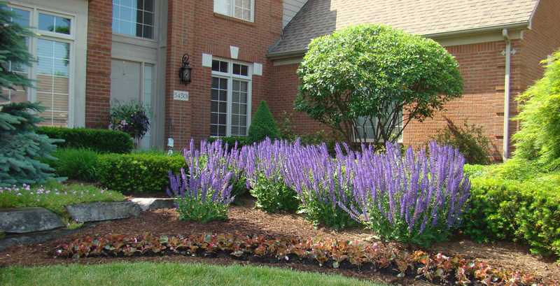 Hire the Best Shelby Twp Landscaping Company