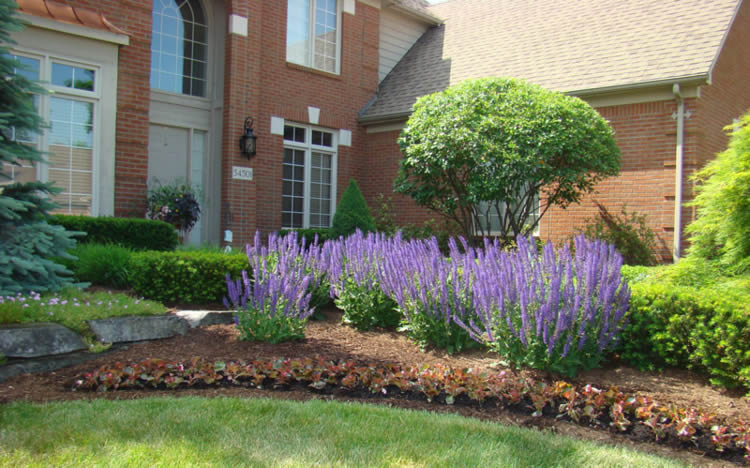 Hire a Romeo Landscaping Company